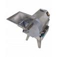 Dicing and Vegetable Cutting Machine - Ital Form 2